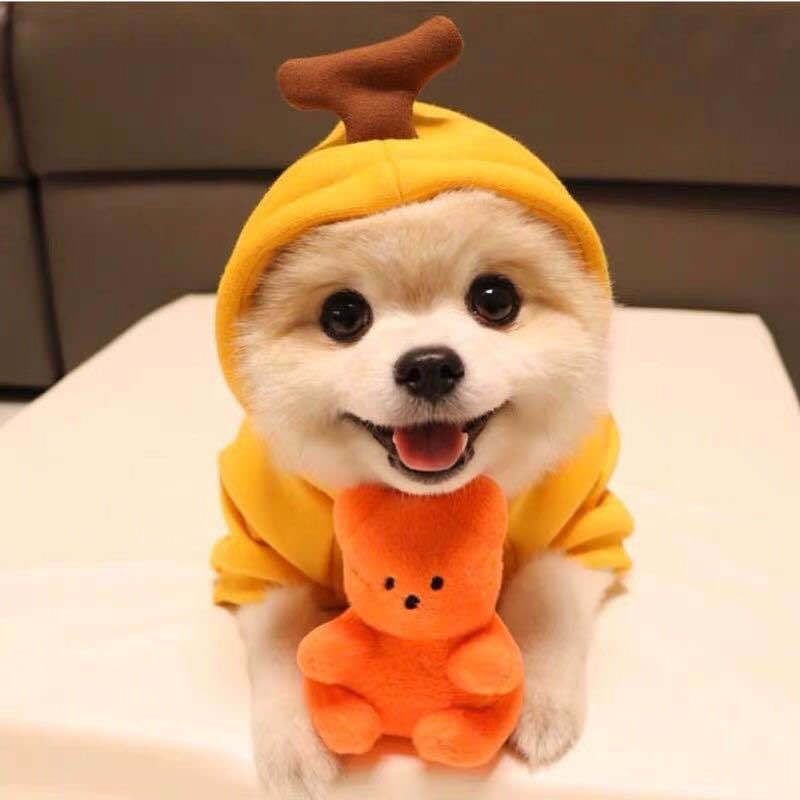 Simple Cartoon Cute Pet Dog Cat Drawstring Hooded Sweatshirt